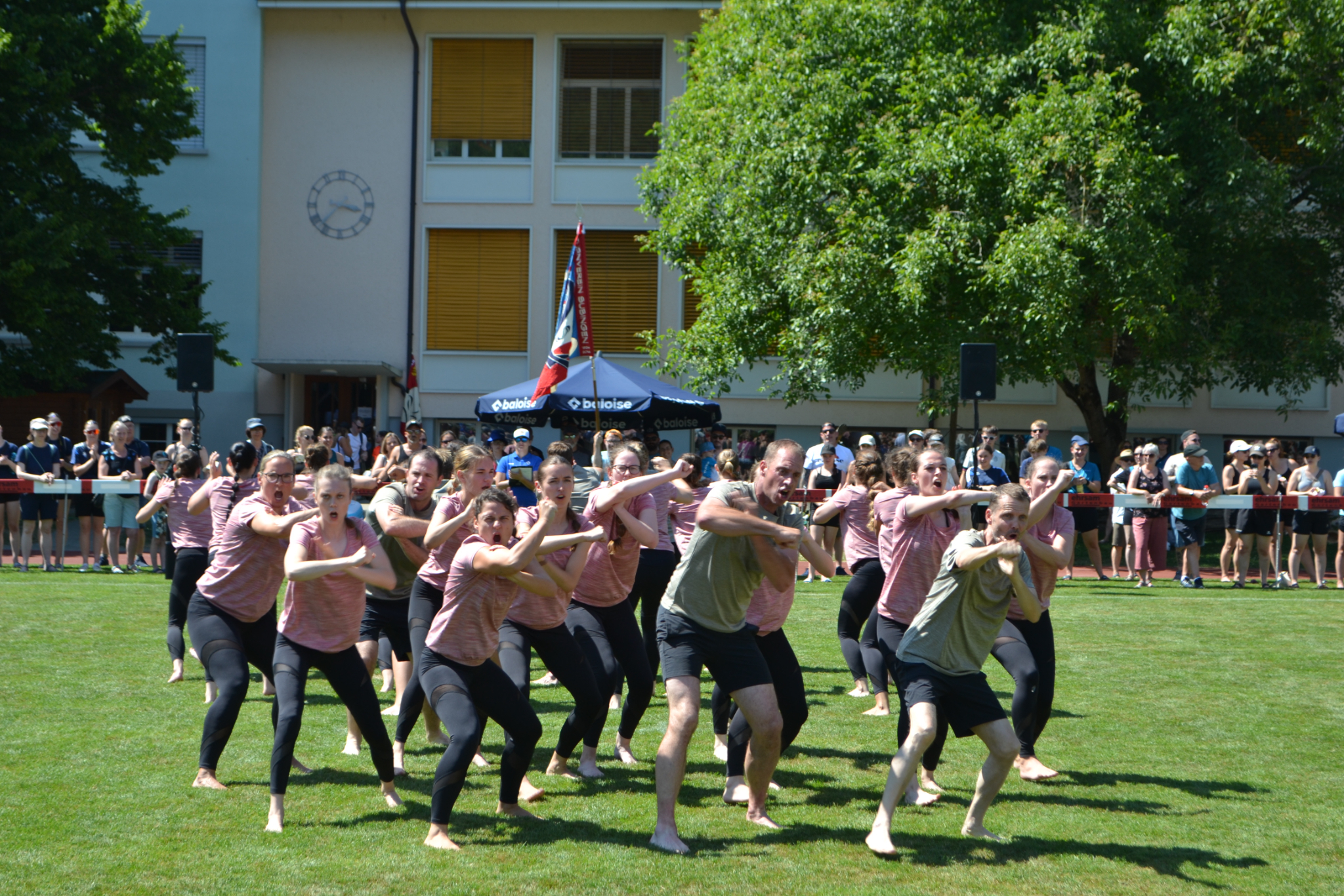 Bild (103)